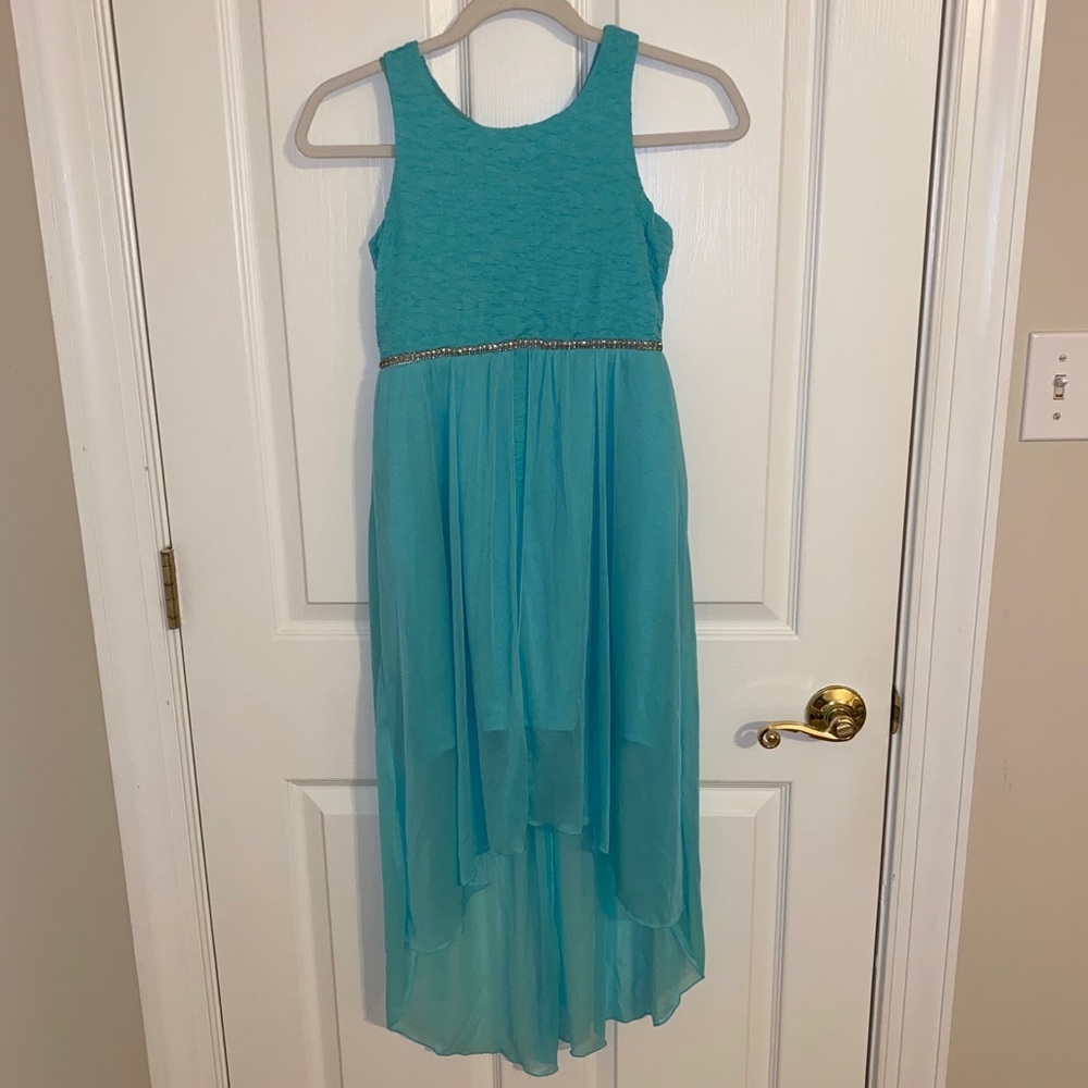 Poppies and Roses Dress